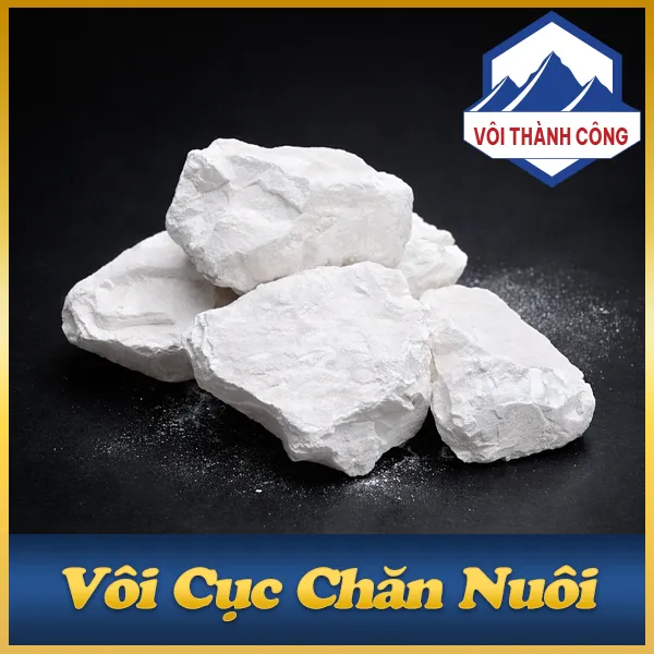 Vôi chăn nuôi