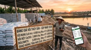 Bài viết cập nhật bảng giá vôi thủy sản chi tiết tại các tỉnh miền Tây (Cà Mau, Bạc Liêu, Sóc Trăng, Bến Tre, Trà Vinh, Long An, Kiên Giang) tháng 4/2025. Phân tích thị trường, tỷ lệ hàng giả, bí kíp gom đơn mua chung, mua đầu mùa khô, mua trực tiếp nhà máy, đàm phán chiết khấu và cách test vôi nhanh bằng nước để tránh hàng giả, hàng kém chất lượng. Kèm bảng phí vận chuyển từ TPHCM và so sánh giá thực tế.