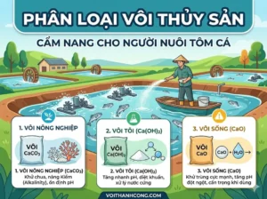 phân loại vôi thủy sản