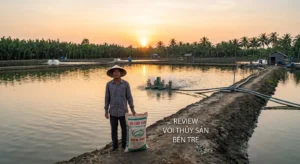 Bài viết tổng hợp review chi tiết từ người dùng thực tế tại Bến Tre về các thương hiệu vôi thủy sản phổ biến: vôi Hà Tiên, vôi Kiên Lương, vôi Đức Phát (dolomite nhập khẩu), vôi Nam Bộ. Hướng dẫn cách chọn vôi CaO, CaCO3, dolomite phù hợp cho từng loại ao nuôi tôm, cá, tránh hàng giả, tối ưu chi phí.
