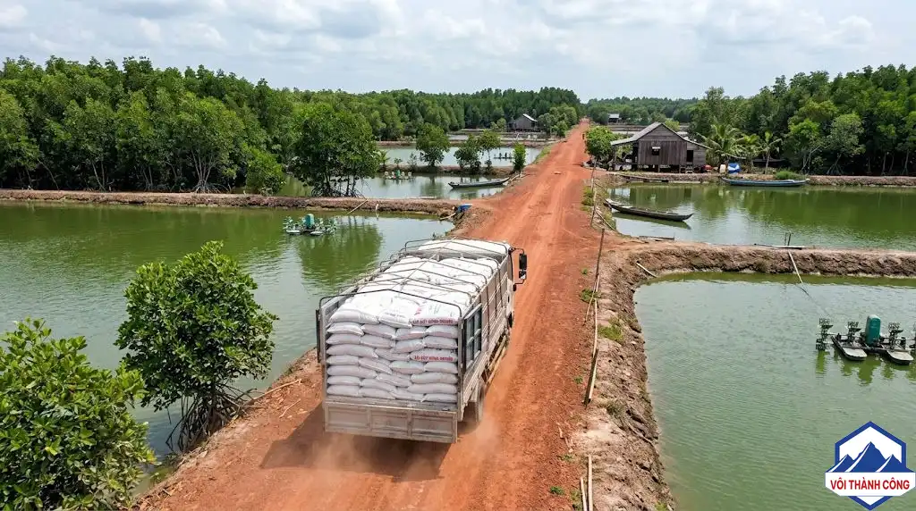 Xe tải nhỏ vận chuyển vôi trên đường nông thôn Cà Mau