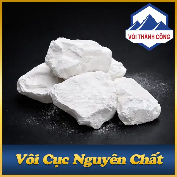 Vôi cục nguyên chất, sản phẩm của Vôi Thành Công dùng trong thủy sản, chăn nuôi và nông nghiệp