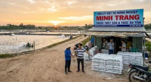Bảng giá vôi thủy sản sỉ mới nhất tháng 4/2025 cho đại lý tại miền Tây. CaO từ 1,05-1,35 triệu/tấn, CaCO3 từ 0,95-1,15 triệu/tấn, Dolomite từ 1,45-1,65 triệu/tấn (đơn 10 tấn). Chính sách chiết khấu 5-15%, hỗ trợ vận chuyển, trả chậm. Liên hệ ngay để nhận ưu đãi 5% cho đơn đầu tiên.